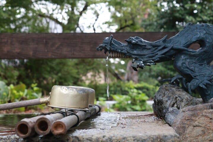 Kyoto Garden Secrets Led by an Architect PRIVATE Tour — photo 11