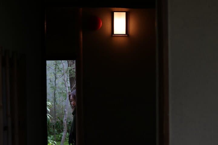 Kyoto Garden Secrets Led by an Architect PRIVATE Tour — photo 4