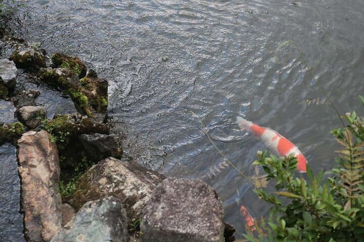 Kyoto Garden Secrets Led by an Architect PRIVATE Tour — photo 15