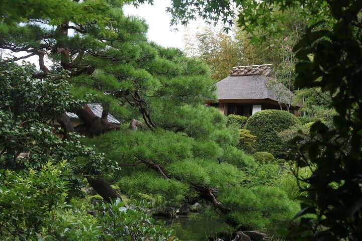 Kyoto Garden Secrets Led by an Architect PRIVATE Tour — photo 14