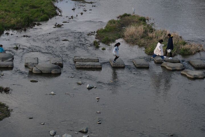 Kyoto Garden Secrets Led by an Architect PRIVATE Tour — photo 16