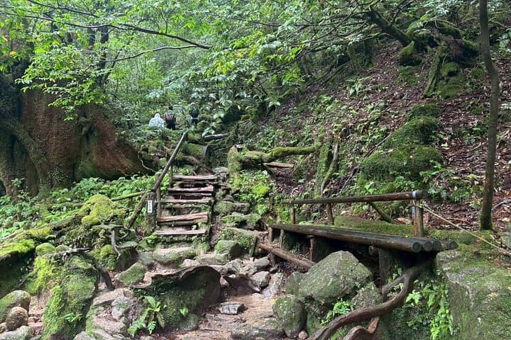1 Day Shiratani Unsuikyo Adventure — photo 5