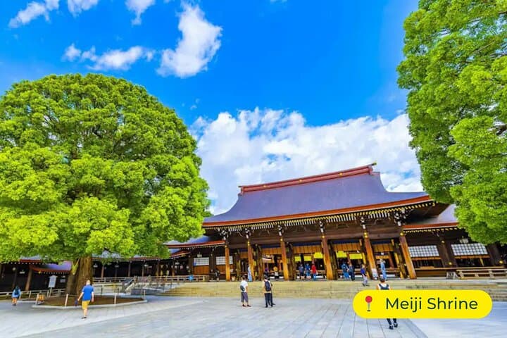 Tokyo Private Tour by Car with English-Speaking Driver (Premium) — photo 3