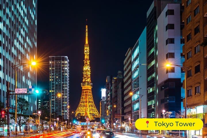 Tokyo Private Tour by Car with English-Speaking Driver (Premium) — photo 5