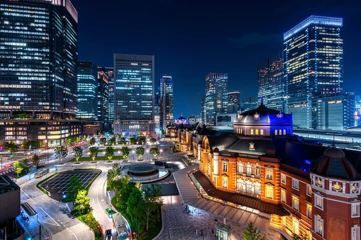 Tokyo Private Tour by Car with English-Speaking Driver (Premium) — photo 9