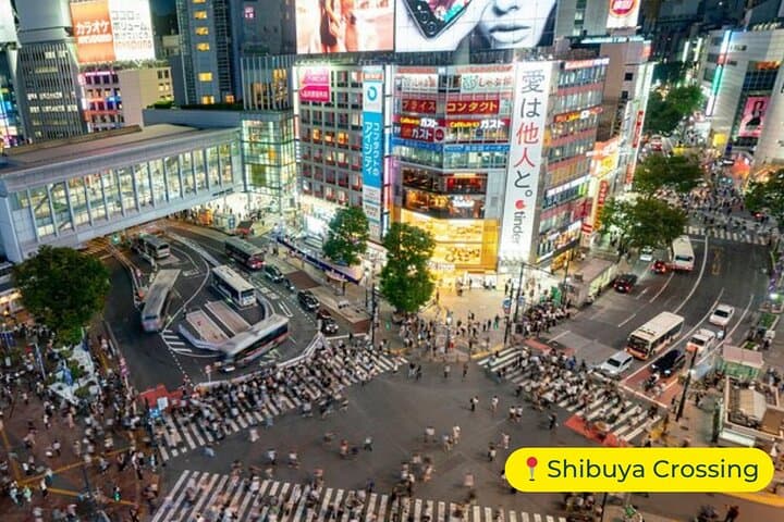 Tokyo Private Tour by Car with English-Speaking Driver (Premium) — photo 7