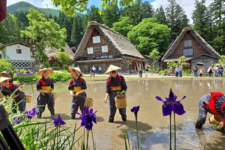 Takayama and Shirakawa Day Tour with Hida Beef Lunch from Nagoya — photo 10