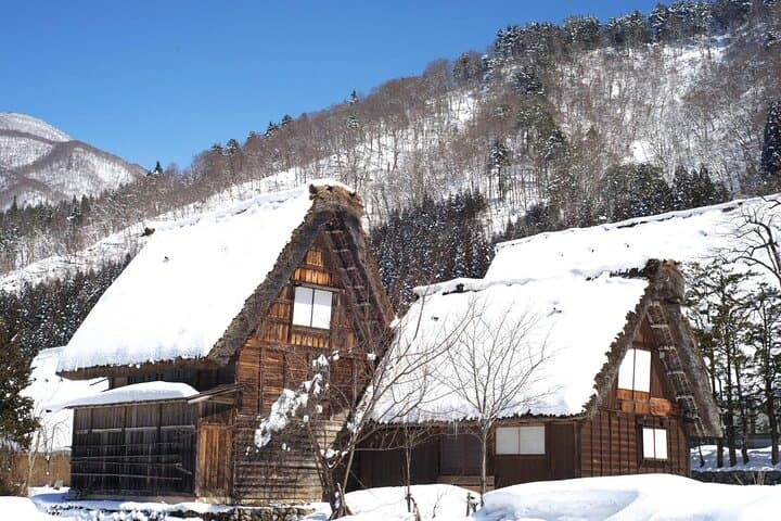 Takayama and Shirakawa Day Tour with Hida Beef Lunch from Nagoya — photo 5