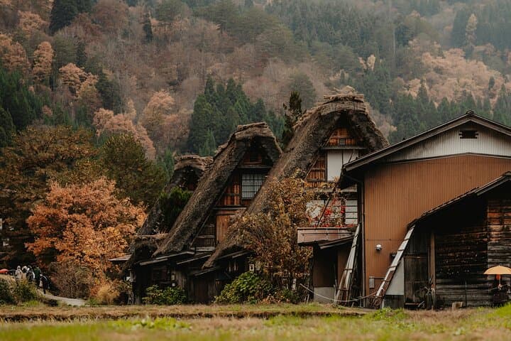 Shirakawago & Kanazawa from Tokyo by bullet train — photo 5
