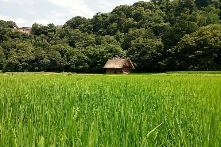 Shirakawago & Kanazawa from Kyoto by bullet train — photo 8