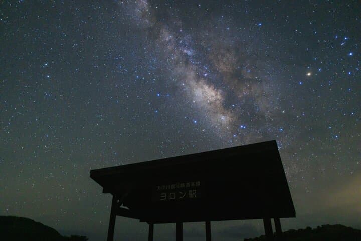 Premium Night Tour — photo 4