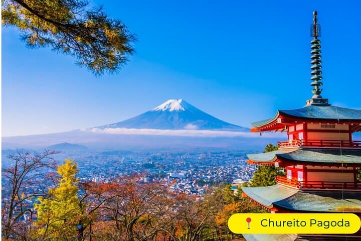 Mt. Fuji Private Day Trip from Tokyo with English-Speaking Driver — photo 3