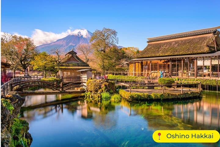 Mt. Fuji Private Day Trip from Tokyo with English-Speaking Driver — photo 4