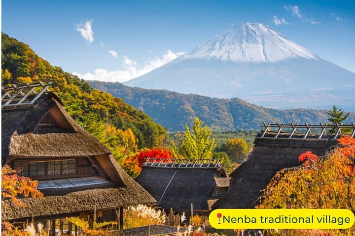 Mt. Fuji Private Day Trip from Tokyo with English-Speaking Driver — photo 5