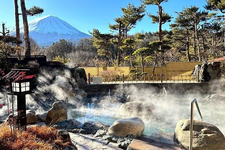 Mt. Fuji Private Day Trip from Tokyo with English-Speaking Driver — photo 6