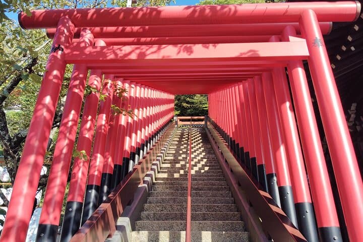 Wakayama: Discover the Sacred Beauty of Kimiidera — photo 9