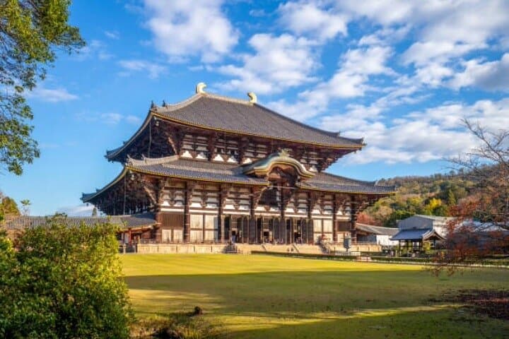 Full Day Nara Highlights Tour with Hotel Pick up and Drop off — photo 3