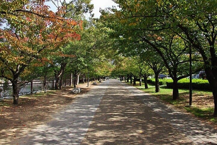 Private Full Day Himeji and Kobe Day Tour — photo 3