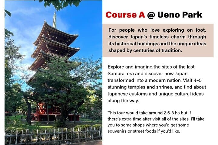 Tailored Tokyo private Tour with a Local Guide (10:00〜) — photo 3