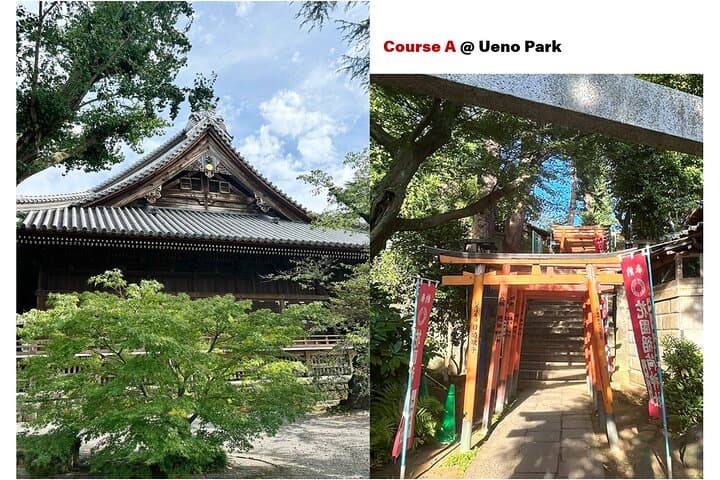 Tailored Tokyo private Tour with a Local Guide (10:00〜) — photo 5