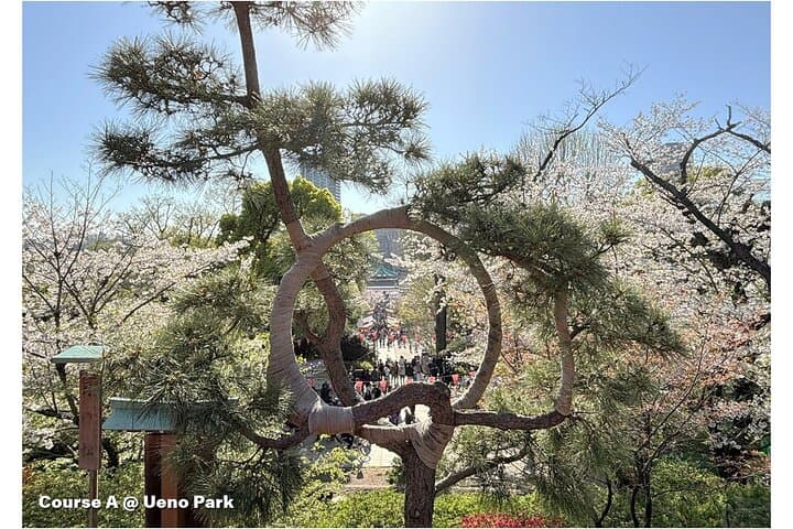 Tailored Tokyo private Tour with a Local Guide (10:00〜) — photo 6