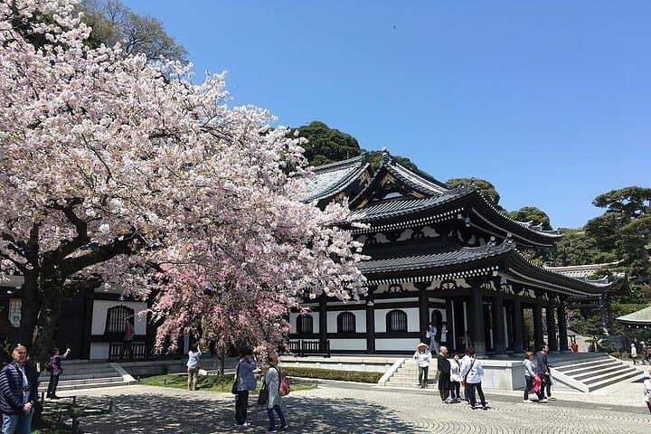 Enjoy in Kamakura, Enoshima ,Yokohama Tokyo Private Car Tour — photo 16