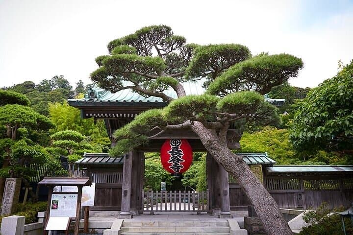 Enjoy in Kamakura, Enoshima ,Yokohama Tokyo Private Car Tour — photo 17