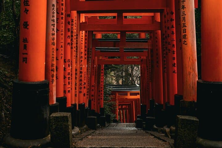 Kyoto Early Bird with Fushimi Inari Nijo Castle and Kinkaku-ji — photo 3