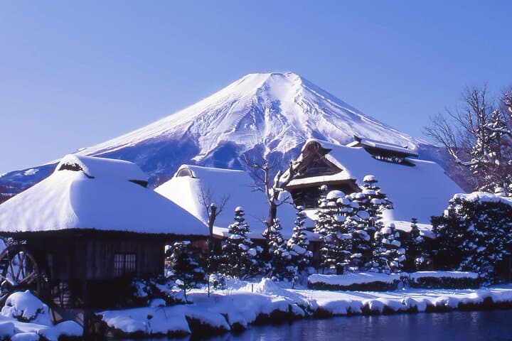 Mt. Fuji Hikawa Clock Shop Oshino Hakkai and Oishi Park Day Trip — photo 4