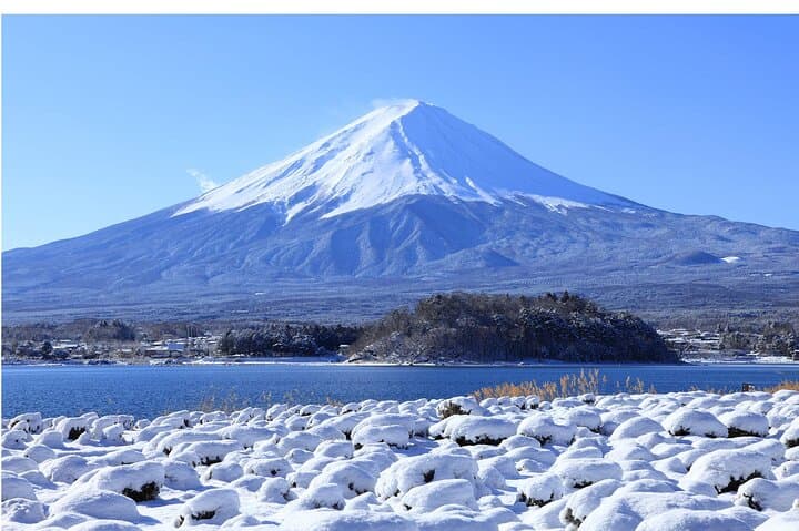 Mt. Fuji Hikawa Clock Shop Oshino Hakkai and Oishi Park Day Trip — photo 5