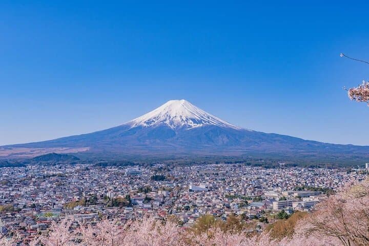 Mt. Fuji Hikawa Clock Shop Oshino Hakkai and Oishi Park Day Trip — photo 8