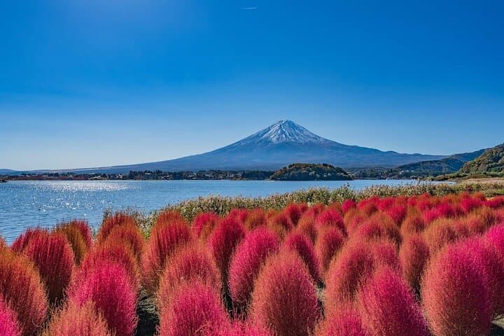 Mt. Fuji Hikawa Clock Shop Oshino Hakkai and Oishi Park Day Trip — photo 11