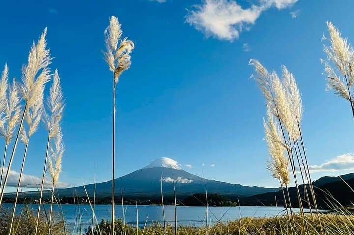 Mt. Fuji Hikawa Clock Shop Oshino Hakkai and Oishi Park Day Trip — photo 12