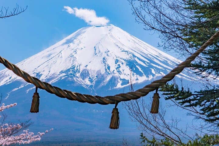 Mt. Fuji Hikawa Clock Shop Oshino Hakkai and Oishi Park Day Trip — photo 13