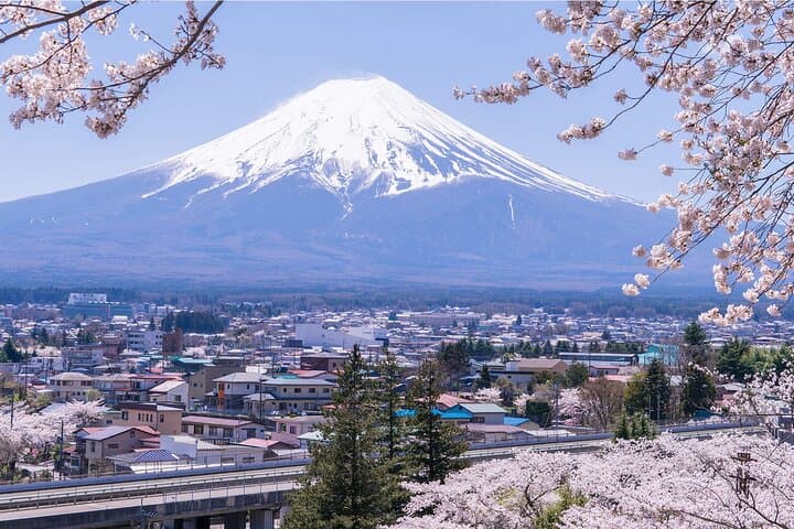 Mt. Fuji Hikawa Clock Shop Oshino Hakkai and Oishi Park Day Trip — photo 14