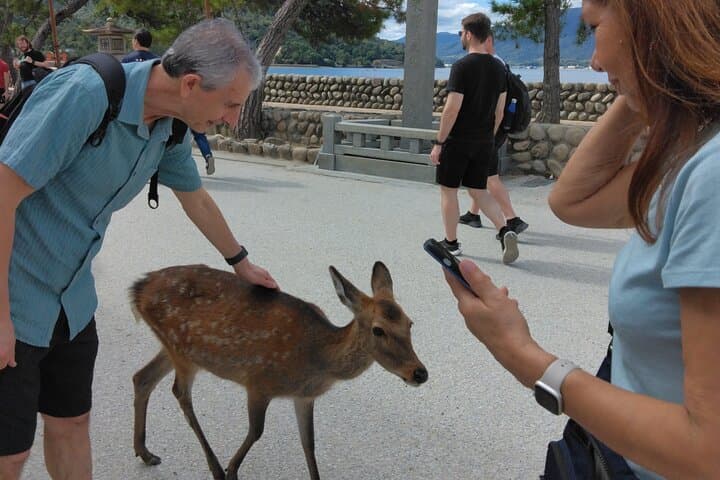 Hiroshima Cruise Pickup : Miyajima & Peace Park Tour with car — photo 6