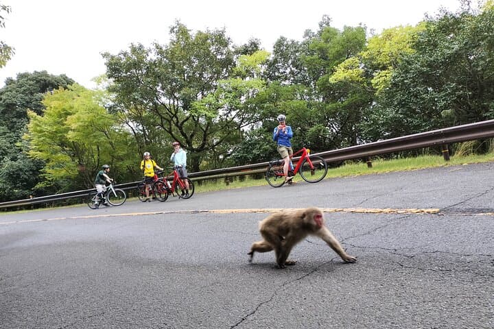 Osaka Half-day E-bike Adventure: Minoh Falls & Katsuoji Temple — photo 15