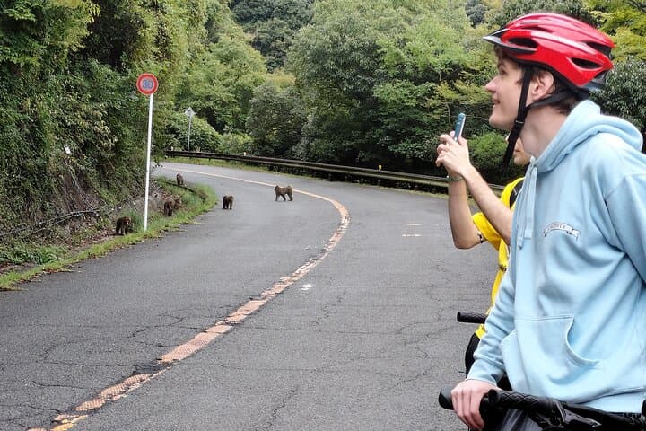 Osaka Half-day E-bike Adventure: Minoh Falls & Katsuoji Temple — photo 12