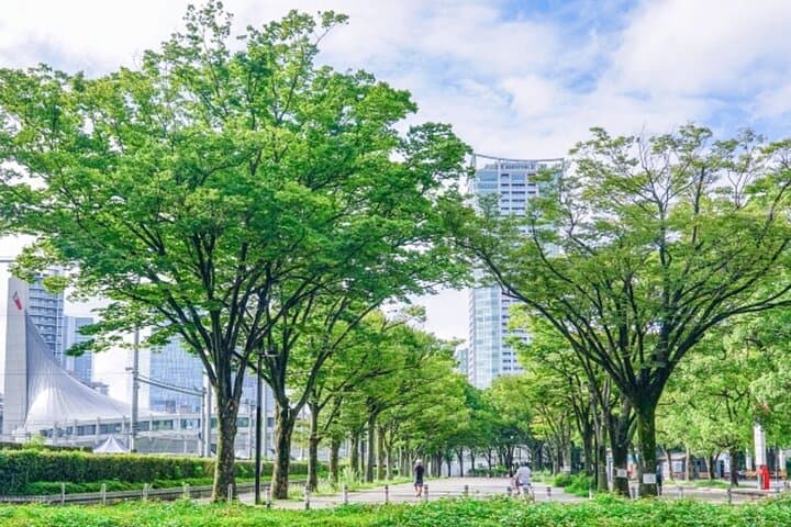 3-hour electric bicycle tour of Tokyo's famous sights — photo 6