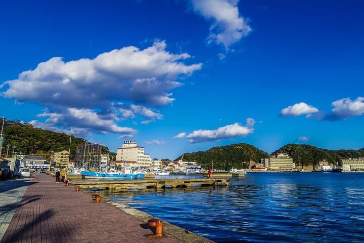 Wakayama: Learn & Taste Japan Tuna Culture in Nachikatsuura — photo 3