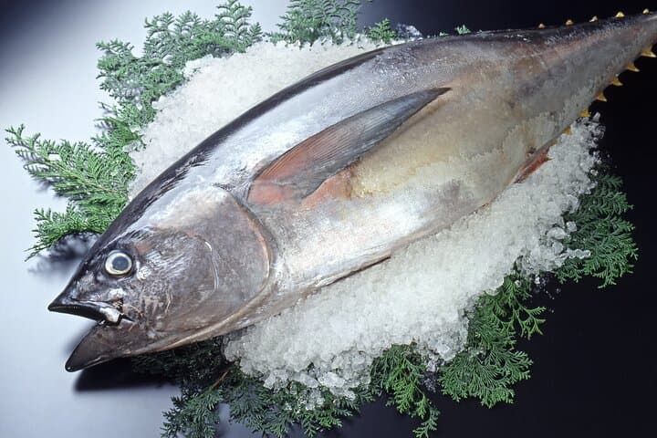 Wakayama: Learn & Taste Japan Tuna Culture in Nachikatsuura — photo 5