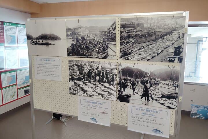 Wakayama: Learn & Taste Japan Tuna Culture in Nachikatsuura — photo 11