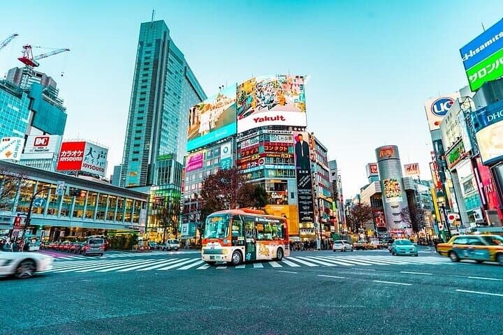 Private and Customisable Tokyo Tour with English-Speaking Driver — photo 9