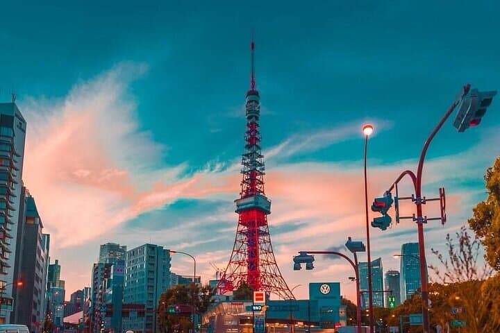 Private and Customisable Tokyo Tour with English-Speaking Driver — photo 10