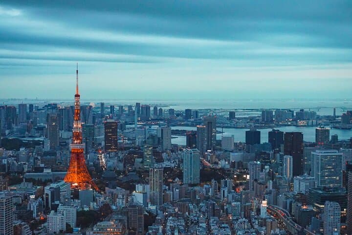 Futuristic Tokyo Tour in teamLab Borderless and City Views — photo 6