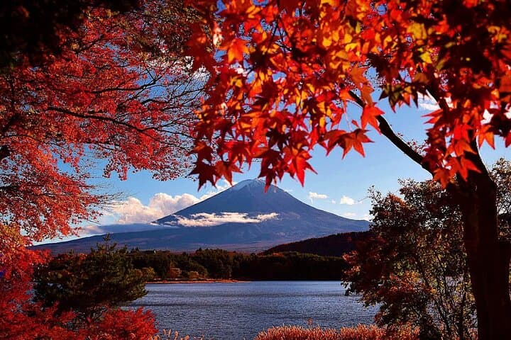 Mt Fuji Full Day Private Tour from Tokyo with English Driver — photo 2