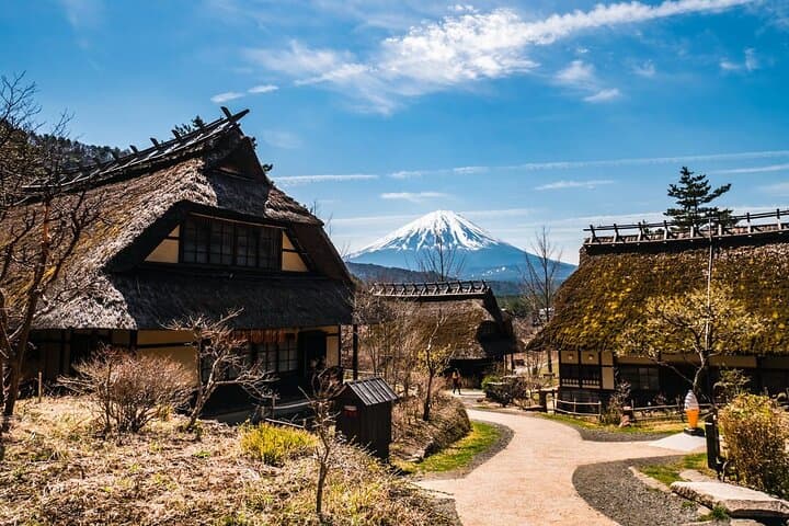 Mt Fuji Full Day Private Tour from Tokyo with English Driver — photo 3