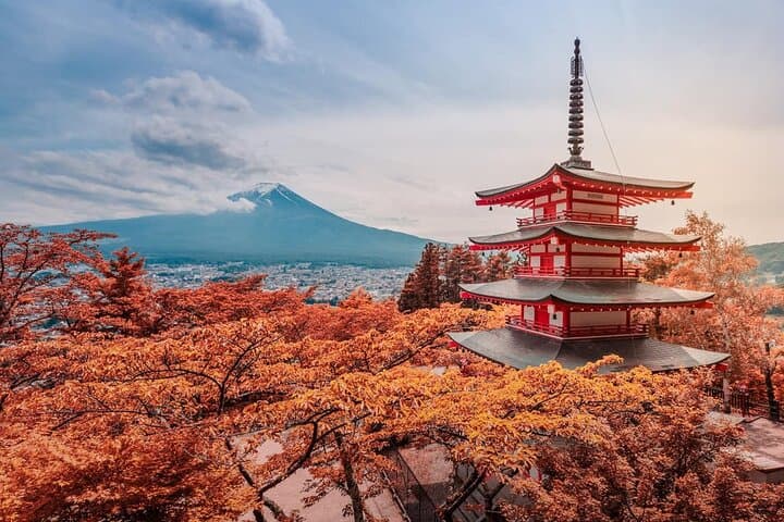 Mt Fuji Full Day Private Tour from Tokyo with English Driver — photo 4
