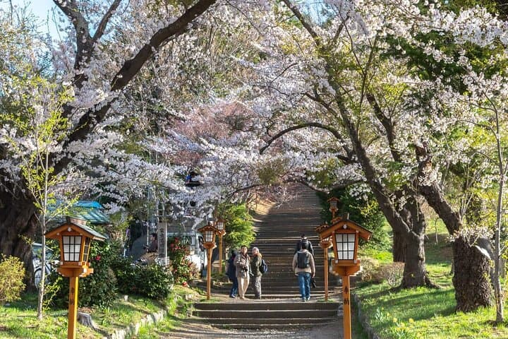 Mt Fuji Full Day Private Tour from Tokyo with English Driver — photo 7