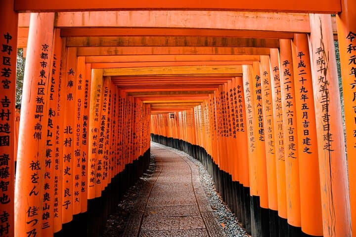 Kyoto MegaPass: Top Attractions incl. Public Transport — photo 9